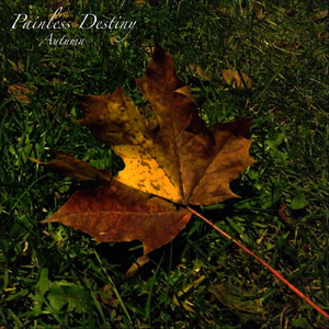 粗大的🐔巴进进出出
